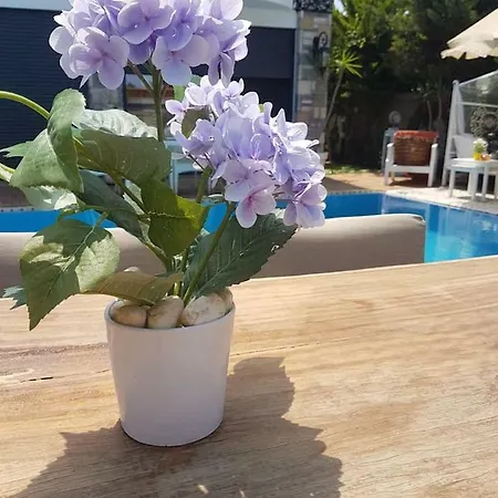 Yova Villa Bodrum